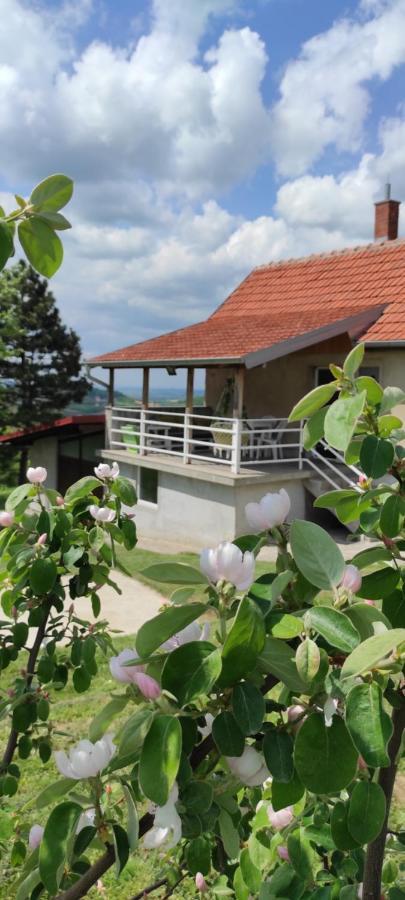 فيلا Vikend House Ljig المظهر الخارجي الصورة